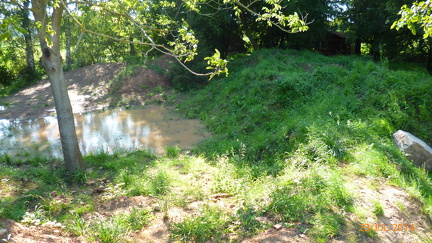 P1000337