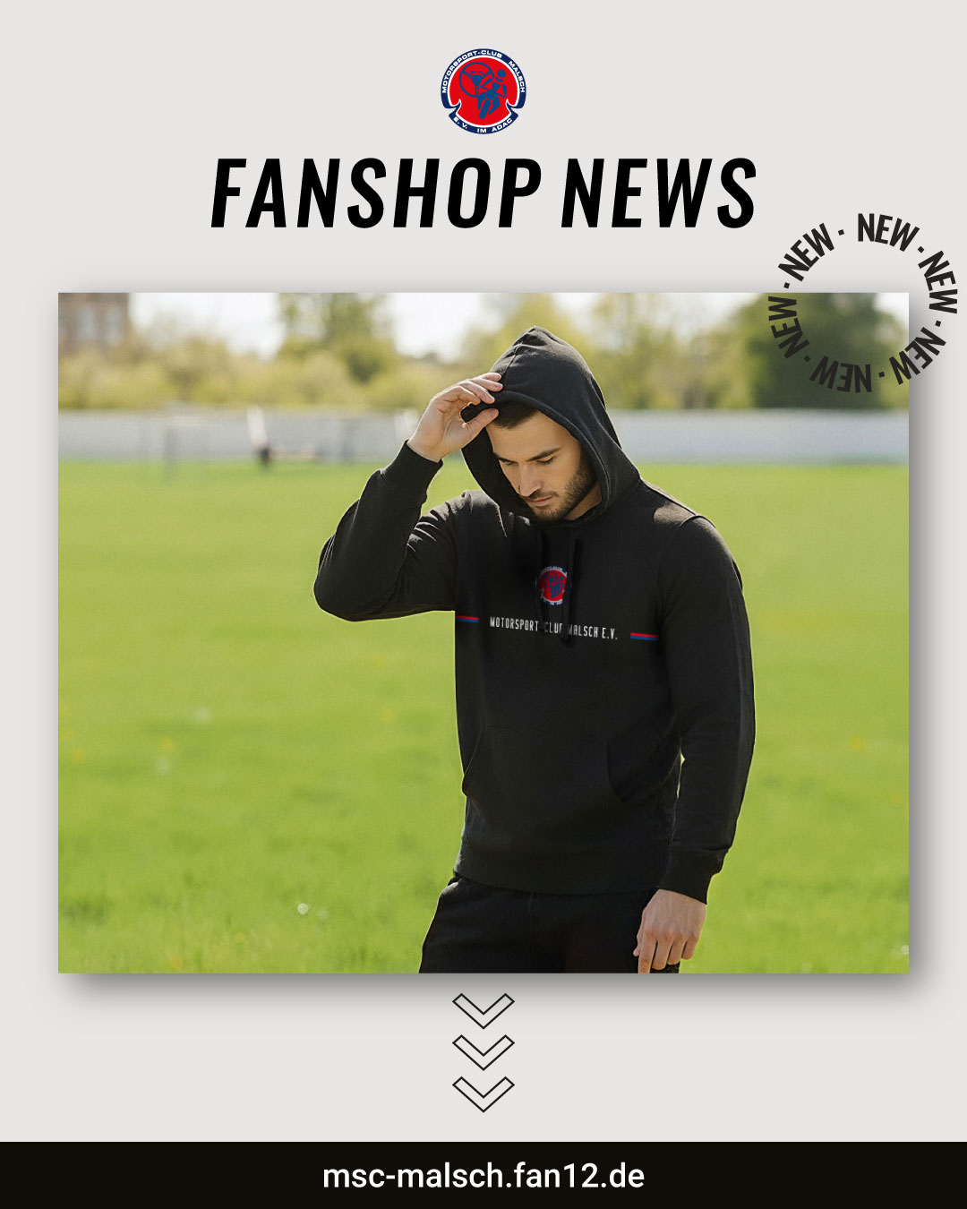 Stripe fanshop