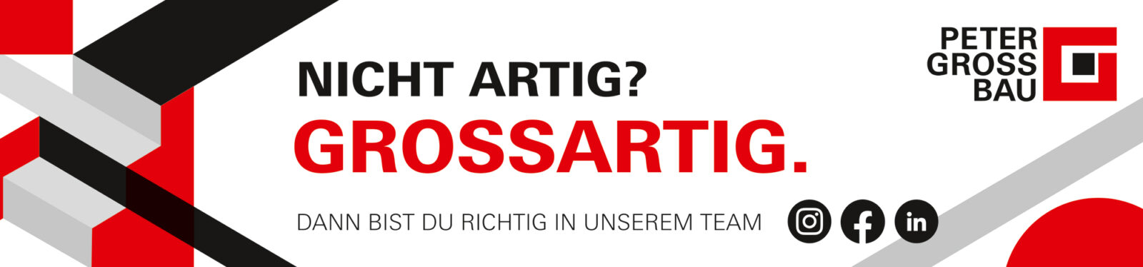 PeterGross callisto Banner 300x70cm 300dpiV2